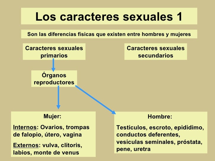 La reproducción