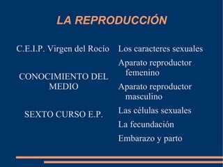 LA REPRODUCCIÓN C.E.I.P. Virgen del Rocío CONOCIMIENTO DEL MEDIO SEXTO CURSO E.P. ,[object Object]