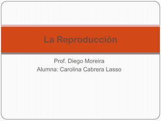 La Reproducción

     Prof. Diego Moreira
Alumna: Carolina Cabrera Lasso
 