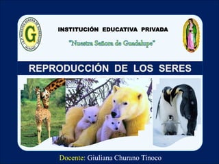 INSTITUCIÓN EDUCATIVA PRIVADA 
Docente: Giuliana Churano Tinoco 
 