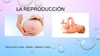 LA REPRODUCCIÓN
HECHO POR: LAURA, ADRIÁN, GABRIELA Y RAÚL
 