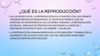 ¿QUÉ ES LA REPRODUCCIÓN?
• EN LOS SERES VIVOS, LA REPRODUCCIÓN ES LA FUNCIÓN VITAL QUE PERMITE
ORIGINAR INDIVIDUOS SEMEJAN...