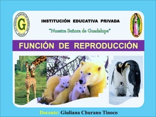Docente: Giuliana Churano Tinoco
INSTITUCIÓN EDUCATIVA PRIVADA
 