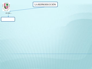 LA REPRODUCCIÓN


es una…
 