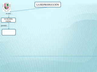 LA REPRODUCCIÓN


     es una…

   FUNCIÓN
    VITAL

permite…
 