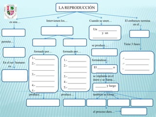 LA REPRODUCCIÓN


     es una…                   Intervienen los…                Cuando se unen…        El embarazo termina
                                                                                            en el…
                                                                 Un ____________
                                                                       y un
                                                                 ________________
permite…
                                                                se produce…          Tiene 3 fases:

                      formado por…         formado por…

                    1.-_____________                                                 .- ________________
                                            1.- ____________    formándose…
En el ser humano    2.- ____________                                                 .- _______________
    es…                                     2.- ____________
                                                                  El __________ o    - ________________
                    _______________
                                            _______________        ___________
                    3.- ____________
                                            3.- ____________     se implanta en el
                    _______________                              útero y se llama…
                                            4.- ____________
                    4.- ____________                               _______ y luego
                                            5.- ____________
                     5.- ____________                                _________
                   produce…               produce…               también se forma…




                                                                 el proceso dura…
 