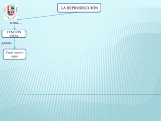 LA REPRODUCCIÓN


     es una…

   FUNCIÓN
    VITAL

permite…

  Crear nuevos
      seres
 