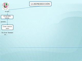 LA REPRODUCCIÓN


     es una…

   FUNCIÓN
    VITAL

permite…

  Crear nuevos
      seres

En el ser humano
    es…
 
