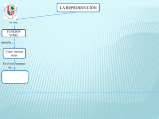 LA REPRODUCCIÓN


     es una…

   FUNCIÓN
    VITAL

permite…

  Crear nuevos
      seres

En el ser humano
    es…
 
