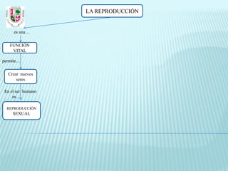LA REPRODUCCIÓN


     es una…

   FUNCIÓN
    VITAL

permite…

  Crear nuevos
      seres

En el ser humano
    es…

  REPRODUCCIÓN
    SEXUAL
 