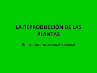 LA REPRODUCCIÓN DE LAS PLANTAS Reproducción asexual y sexual 