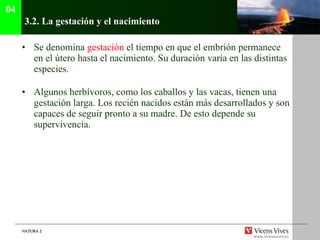 3.2.  La gestación y el nacimiento Se denomina  gestación  el tiempo en que el embrión permanece en el útero hasta el nacimiento. Su duración varía en las distintas especies. Algunos herbívoros, como los caballos y las vacas, tienen una gestación larga. Los recién nacidos están más desarrollados y son capaces de seguir pronto a su madre. De esto depende su supervivencia. 04 