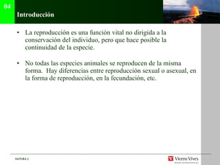 Introducci ón La reproducción es una función vital no dirigida a la conservación del individuo, pero que hace posible la continuidad de la especie. No todas las especies animales se reproducen de la misma forma.  Hay diferencias entre reproducción sexual o asexual, en la forma de reproducción, en la fecundación, etc. 04 