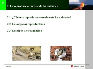 2.  La reproducci ón sexual de los animales 2.1.  ¿Cómo se reproducen sexualmente los animales? 2.2. Los órganos reproductores 2.3. Los tipos de fecundación 04 