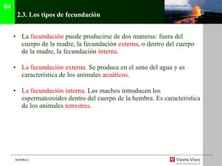 2.3.  Los tipos de fecundación La  fecundación  puede producirse de dos maneras: fuera del cuerpo de la madre, la fecundación  externa , o dentro del cuerpo de la madre, la fecundación  interna . La fecundación externa.  Se produce en el seno del agua y es característica de los animales  acuáticos . La fecundación interna.  Los machos introducen los espermatozoides dentro del cuerpo de la hembra. Es característica de los animales  terrestres . 04 