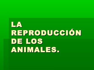 LALA
REPRODUCCIÓNREPRODUCCIÓN
DE LOSDE LOS
ANIMALES.ANIMALES.
 