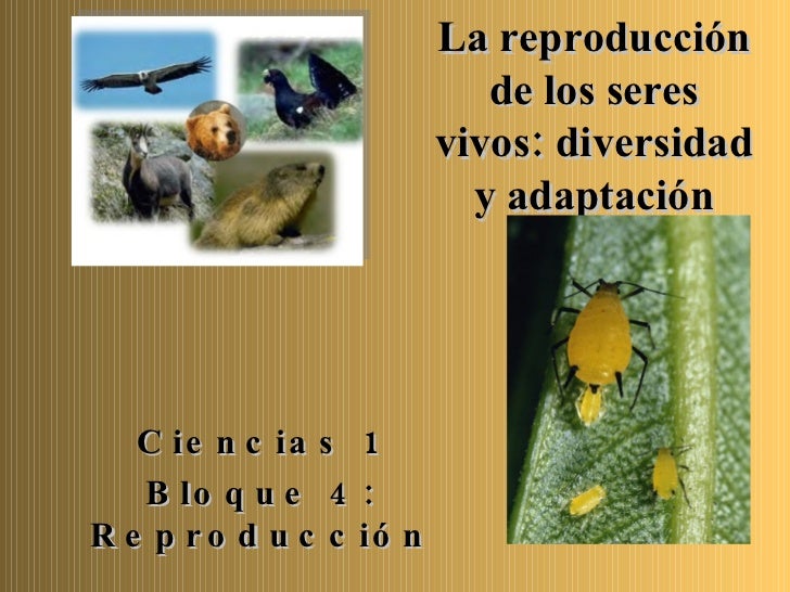 La reproducción de los seres vivos