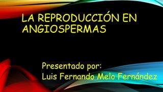 LA REPRODUCCIÓN EN
ANGIOSPERMAS
Presentado por:
Luis Fernando Melo Fernández

 
