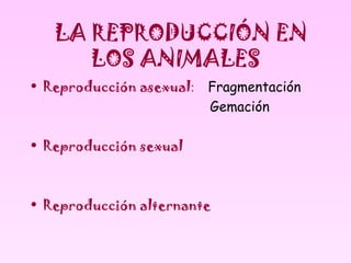 LA REPRODUCCIÓN EN
      LOS ANIMALES
• Reproducción asexual: Fragmentación
                        Gemación

• Reproducción sexual



• Reproducción alternante
 