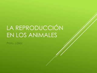 LA REPRODUCCIÓN
EN LOS ANIMALES
Profa. J.Diaz
 