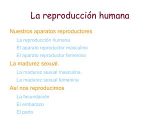 La reproducción humana ,[object Object]