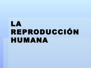 LA REPRODUCCIÓN HUMANA 