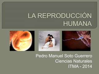 Pedro Manuel Soto Guerrero 
Ciencias Naturales 
ITMA - 2014 
 