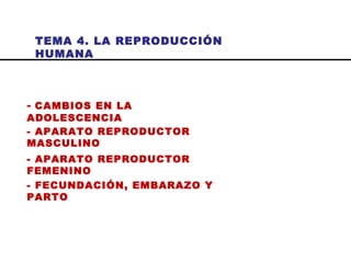 TEMA 4. LA REPRODUCCIÓN HUMANA
- CAMBIOS EN LA ADOLESCENCIA
- APARATO REPRODUCTOR MASCULINO
- APARATO REPRODUCTOR FEMENINO
- FECUNDACIÓN, EMBARAZO Y PARTO
 