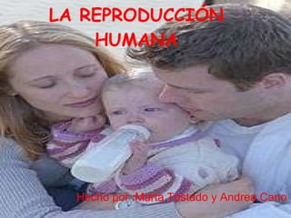 LA REPRODUCCIÓN HUMANA Hecho por :Marta Tostado y Andrea Cano 