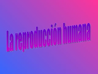 La Reproduccin Humana Power Pointalba