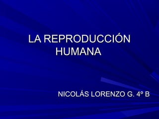 LA REPRODUCCIÓNLA REPRODUCCIÓN
HUMANAHUMANA
NICOLÁS LORENZO G. 4º BNICOLÁS LORENZO G. 4º B
 