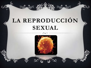 LA REPRODUCCIÓN
     SEXUAL
 