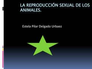 LA REPRODUCCIÓN SEXUAL DE LOS
ANIMALES.


Estela Pilar Delgado Urbaez
 