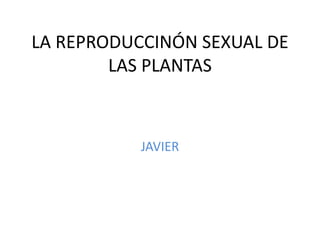 LA REPRODUCCINÓN SEXUAL DE
        LAS PLANTAS



           JAVIER
 