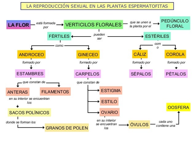 La reproducción sexual en animales y plantas 2013
