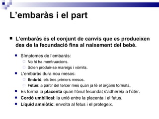 L’embaràs i el part L’embaràs és el conjunt de canvis que es produeixen des de la fecundació fins al naixement del bebé. Símptomes de l’embaràs: No hi ha mentruacions. Solen produir-se mareigs i vòmits. L’embaràs dura nou mesos: Embrió : els tres primers mesos. Fetus : a partir del tercer mes quan ja té el òrgans formats. Es forma la  placenta  quan l’òvul fecundat s’adhereix a l’úter. Cordó umbilical : la unió entre la placenta i el fetus. Líquid amniòtic : envolta al fetus i el protegeix. 