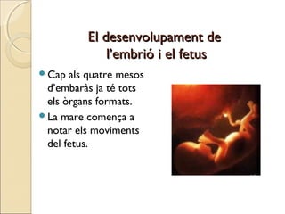 El desenvolupament deEl desenvolupament de
l’embrió i el fetusl’embrió i el fetus
Cap als quatre mesos
d’embaràs ja té to...