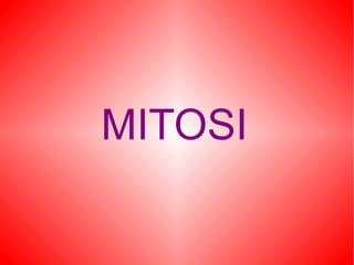 MITOSI
 