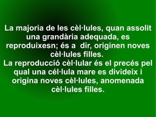 La majoria de les cèl·lules, quan assolit
una grandària adequada, es
reproduixesn; és a dir, originen noves
cèl·lules filles.
La reproducció cèl·lular és el precés pel
qual una cél·lula mare es divideix i
origina noves cèl·lules, anomenada
cèl·lules filles.
 
