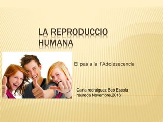 LA REPRODUCCIO
HUMANA
El pas a la l’Adolesecencia
Carla rodruiguez 6eb Escola
roureda Novembre,2016
 