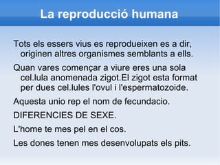 La reproducció humana ,[object Object]