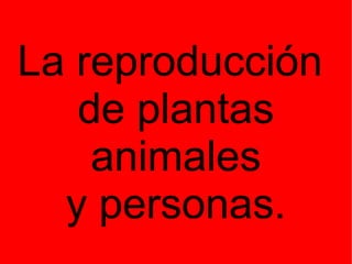 La reproducción  de plantas animales  y personas. 