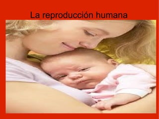 La reproducción humana 