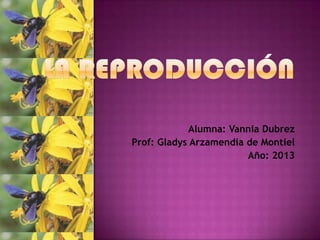 Alumna: Vannia Dubrez
Prof: Gladys Arzamendia de Montiel
Año: 2013
 