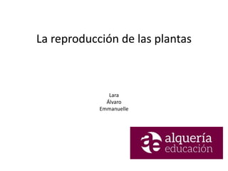 La reproducción de las plantas
Lara
Álvaro
Emmanuelle
 