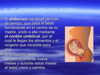  ElEl embarazo,embarazo, es aquel períodoes aquel período
de tiempo, que pasa el bebéde tiempo, que pasa el bebé
formándo...