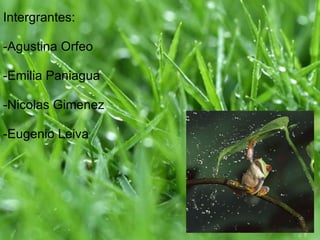 Intergrantes:   -Agustina Orfeo   -Emilia Paniagua   -Nicolas Gimenez   -Eugenio Leiva 