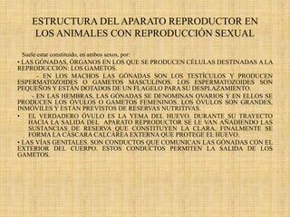 ESTRUCTURA DEL APARATO REPRODUCTOR EN
LOS ANIMALES CON REPRODUCCIÓN SEXUAL
Suele estar constituido, en ambos sexos, por:
•...