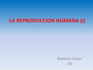 LA REPRODUCCION HUMANA (I)
Roberto Visser
6B
 