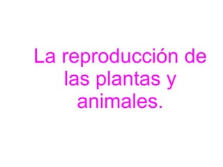 La reproducción de las plantas y animales. 